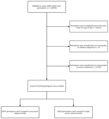 The association between serum cadmium and diabetes in the general population: A cross-sectional study from NHANES (1999–2020)
